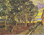 Vincent Van Gogh Garden of the Hospital Saint-Paul oil painting reproduction